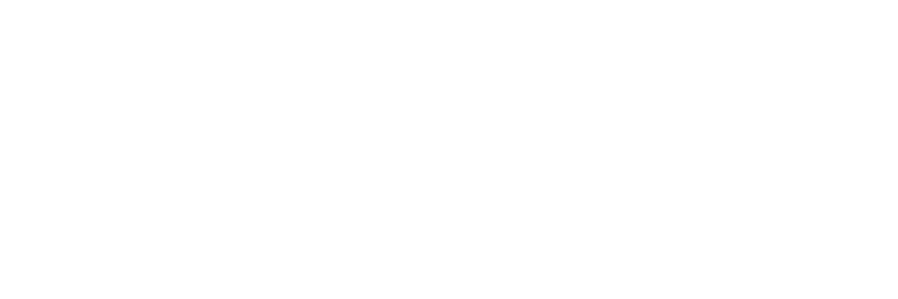 DocuStream Logo